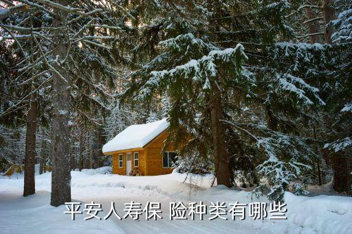 平安保險(xiǎn)有哪些險(xiǎn)種價(jià)格,中國(guó)平安保險(xiǎn)有哪些險(xiǎn)種...